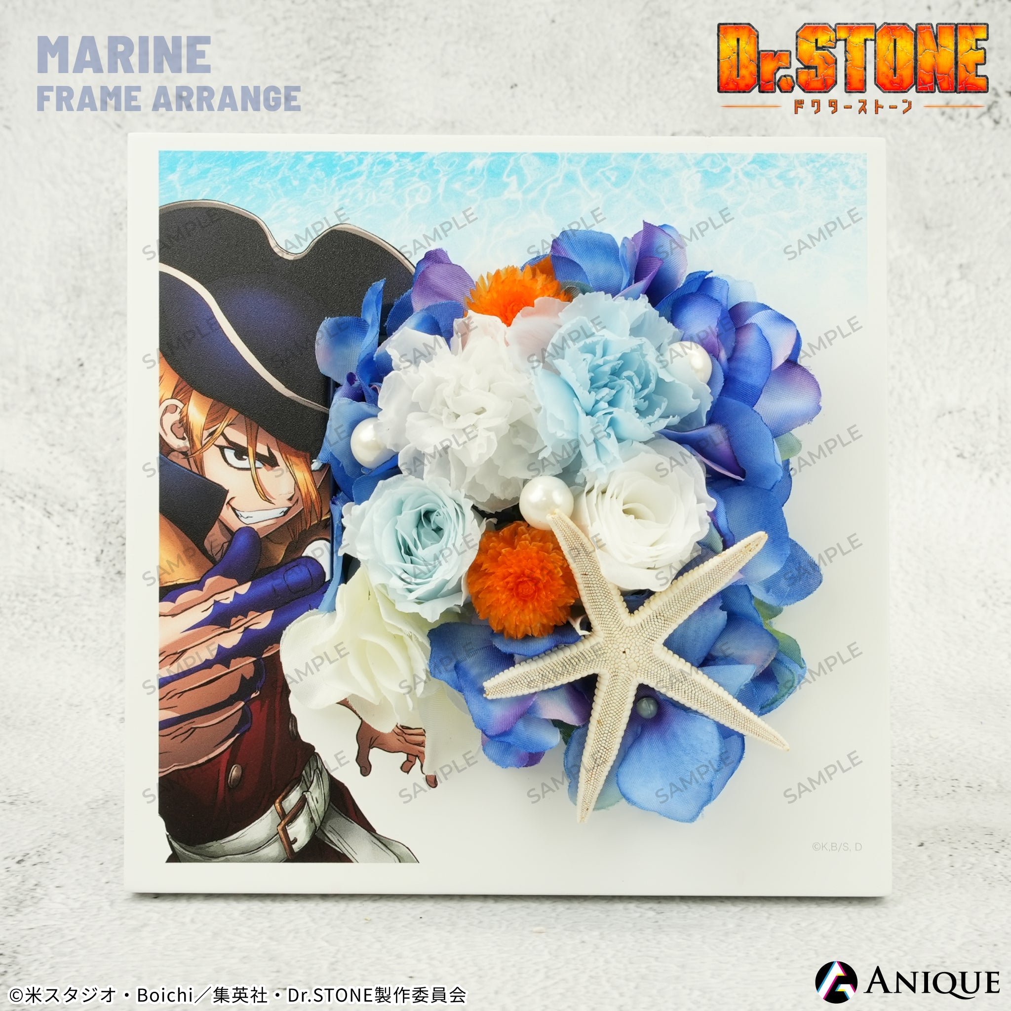 七海龍水 マリンフレームアレンジ｜アニメ『Dr.STONE』｜アニメ漫画