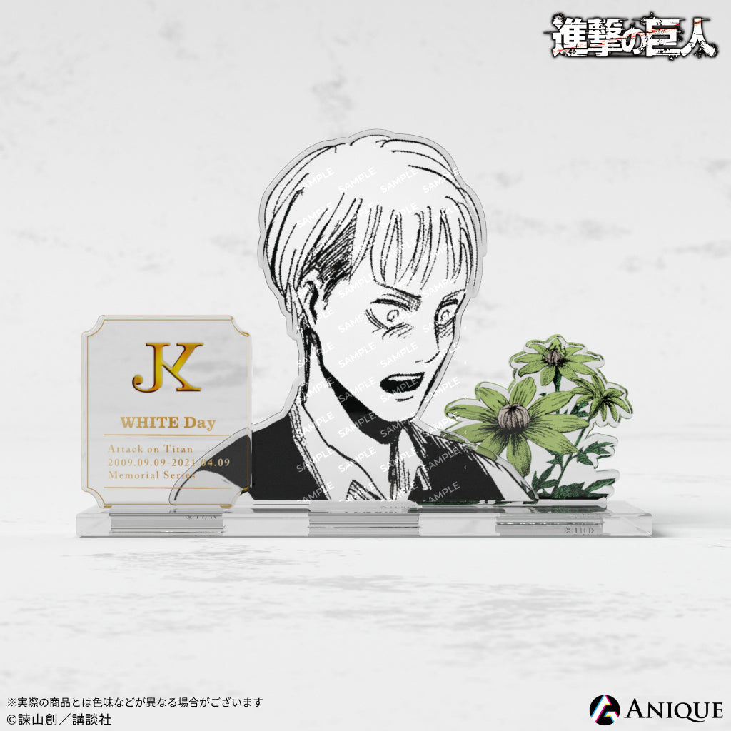 wd_acsta_3.jpg?v=1710728366
