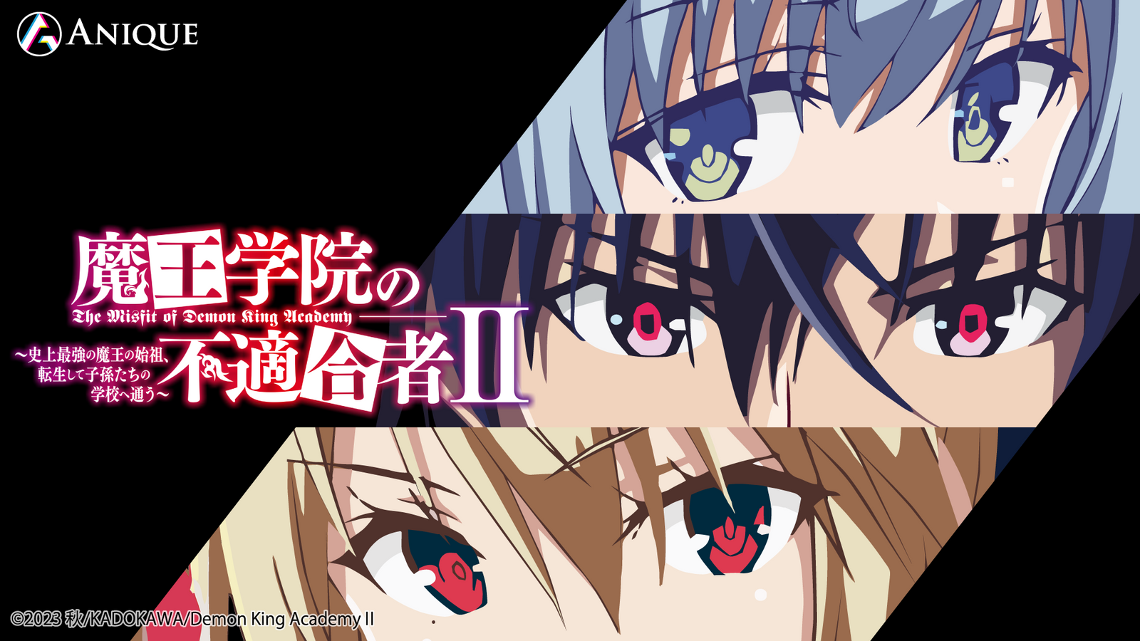 Anique Shop JAPAN