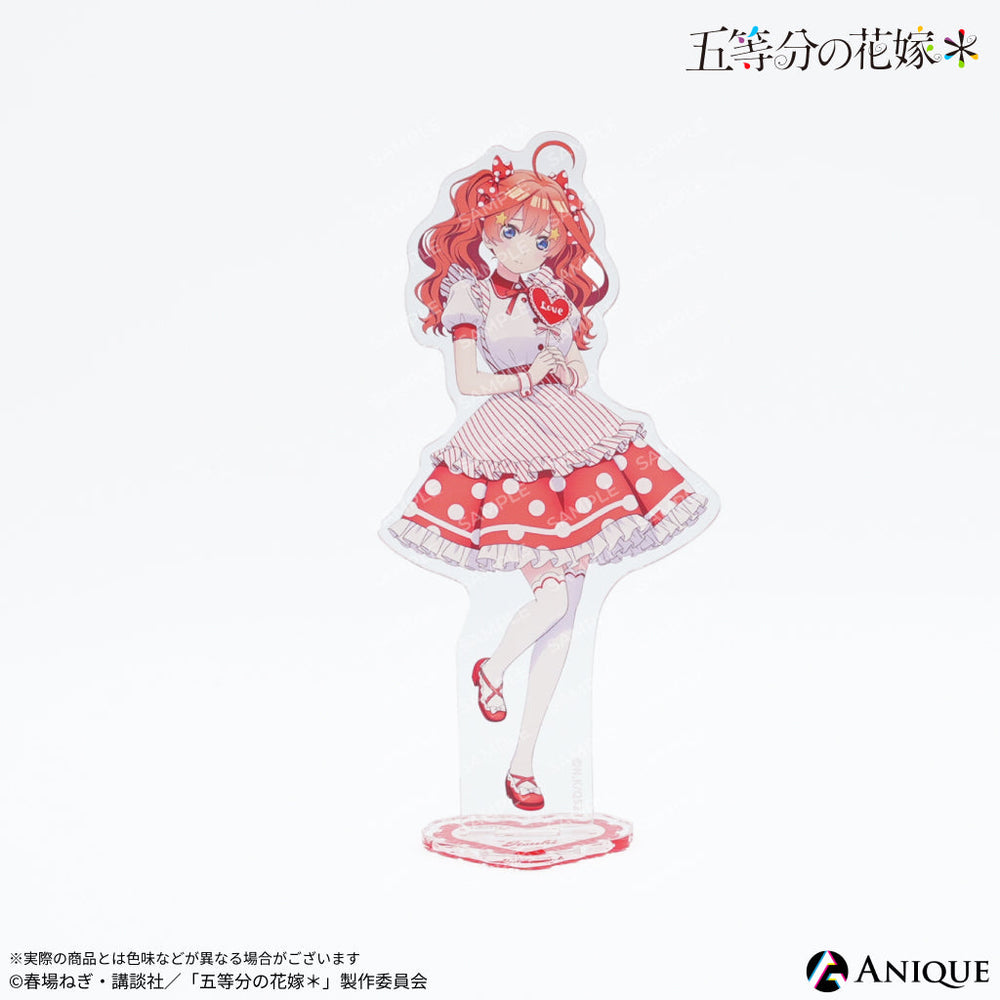 05_acsta_05_1000x.jpg?v=1770712455