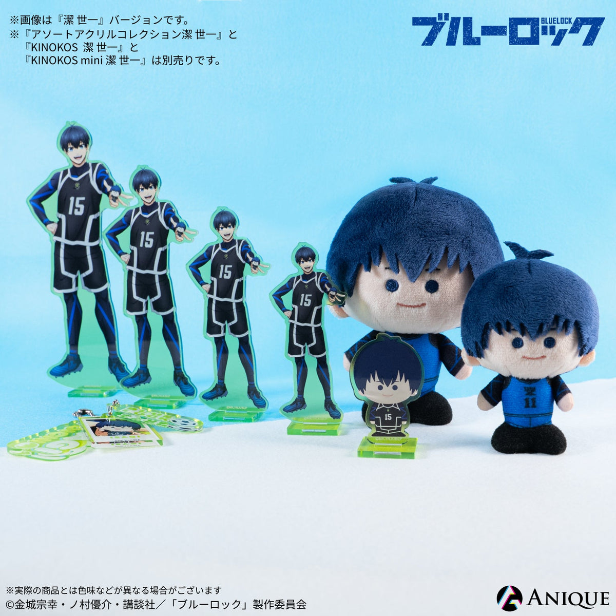 Anique Shop JAPAN