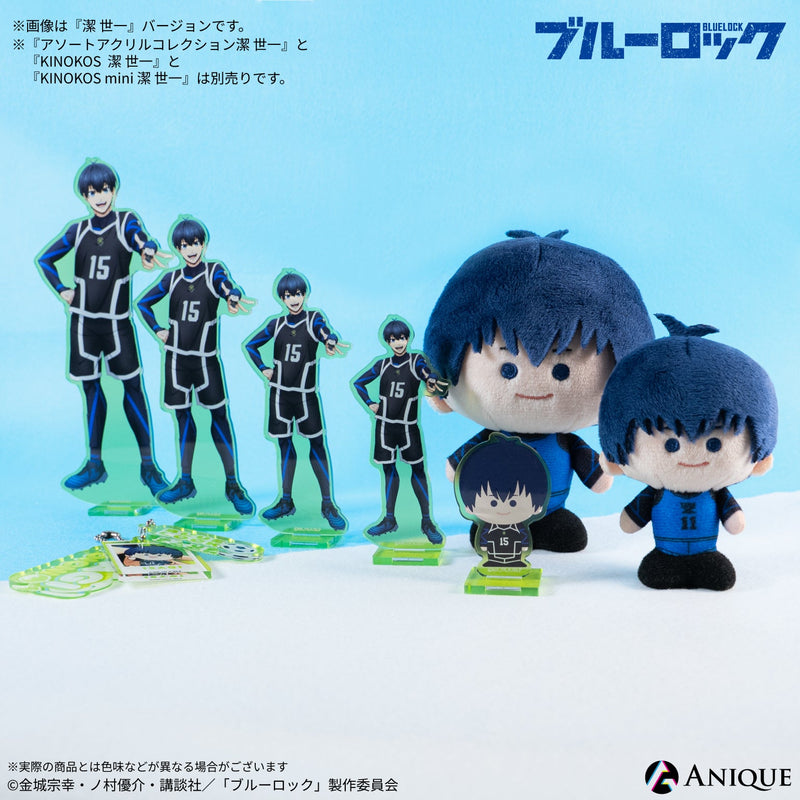 Anique Shop JAPAN
