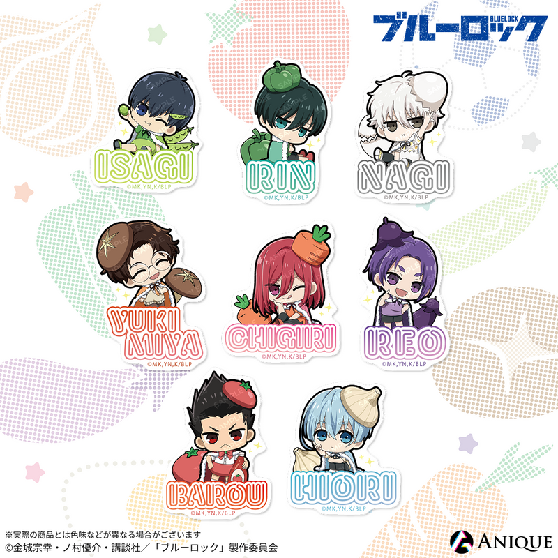 Anique Shop JAPAN