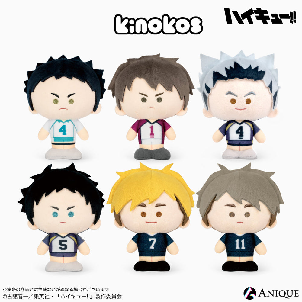 アニメ「ハイキュー‼︎」KINOKOS 赤葦京治｜アニメ「ハイキュー!!」第2