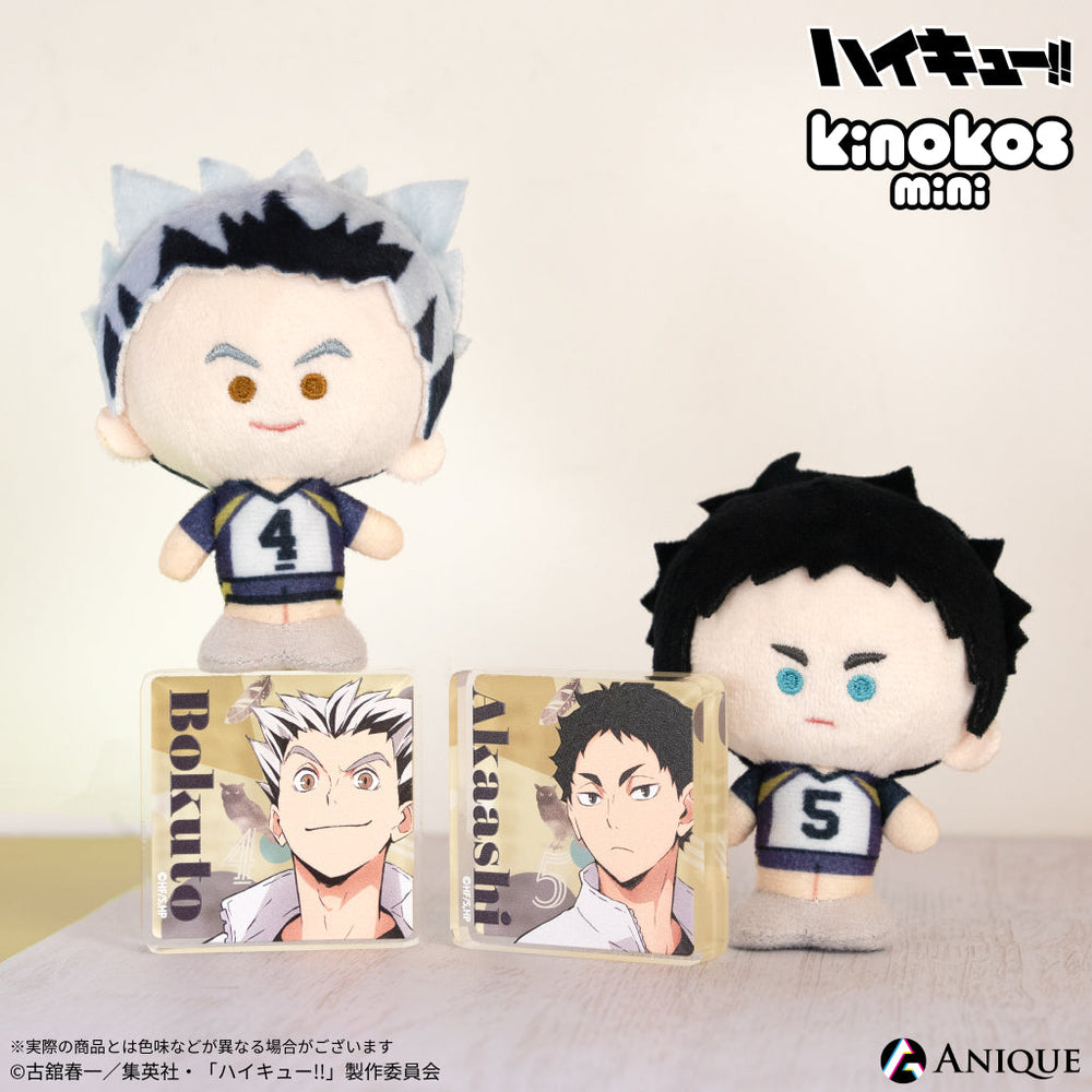 KINO_miniacb_d7b0aaaa-f2d3-