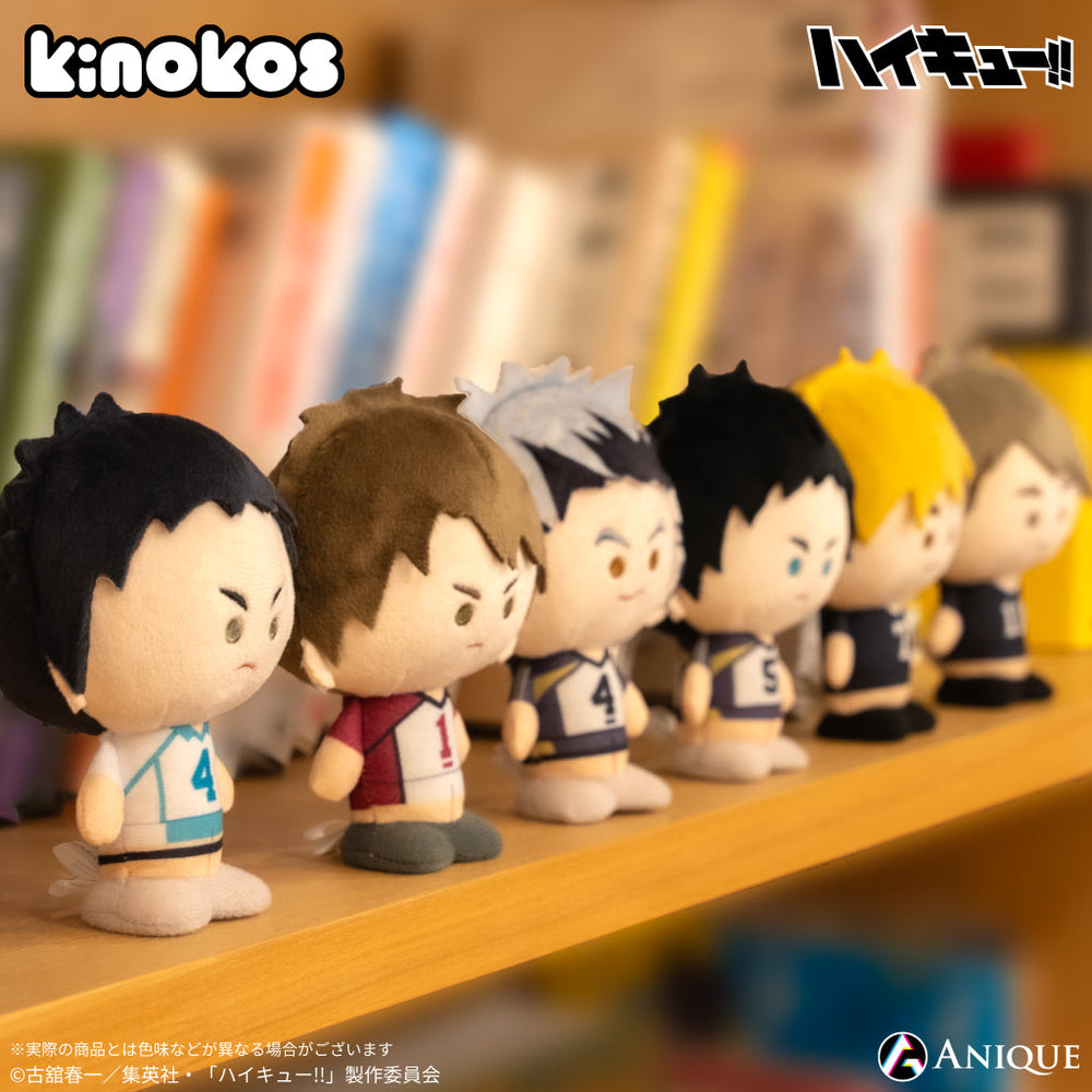 アニメ「ハイキュー‼︎」KINOKOS 木兎光太郎｜アニメ「ハイキュー