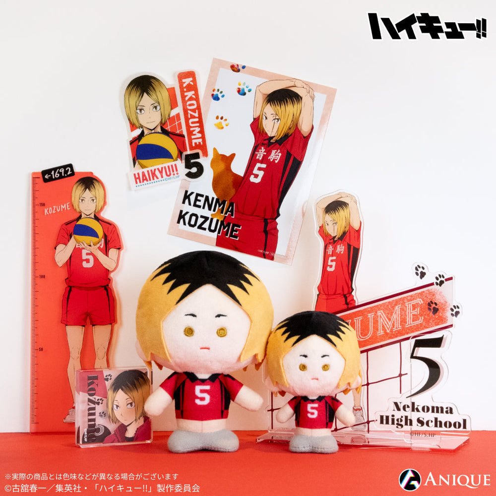 chara_6_kenma_1000x.jpg?v=