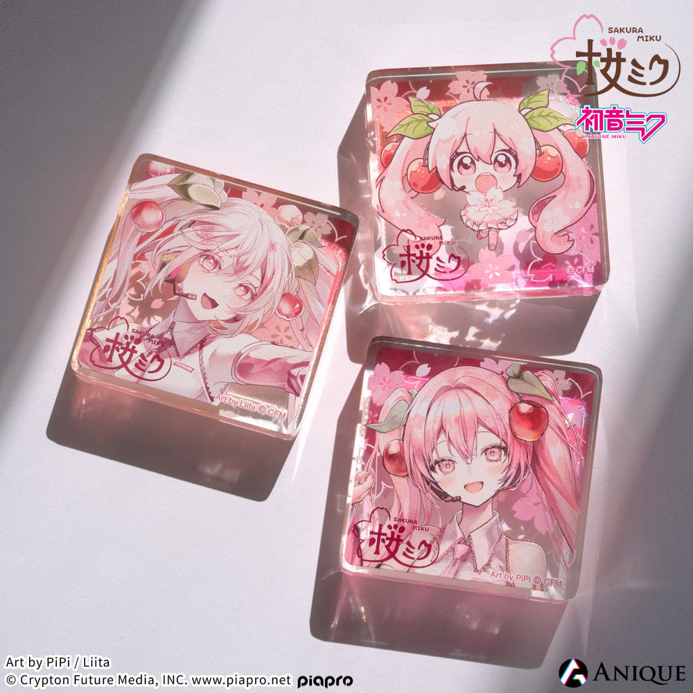 初音ミク 桜ミク 四季の移ろい 缶バッジ 特典 ブロマイド 桜ミク - 描き下ろし 桜パーティーver. Art by しゅがお