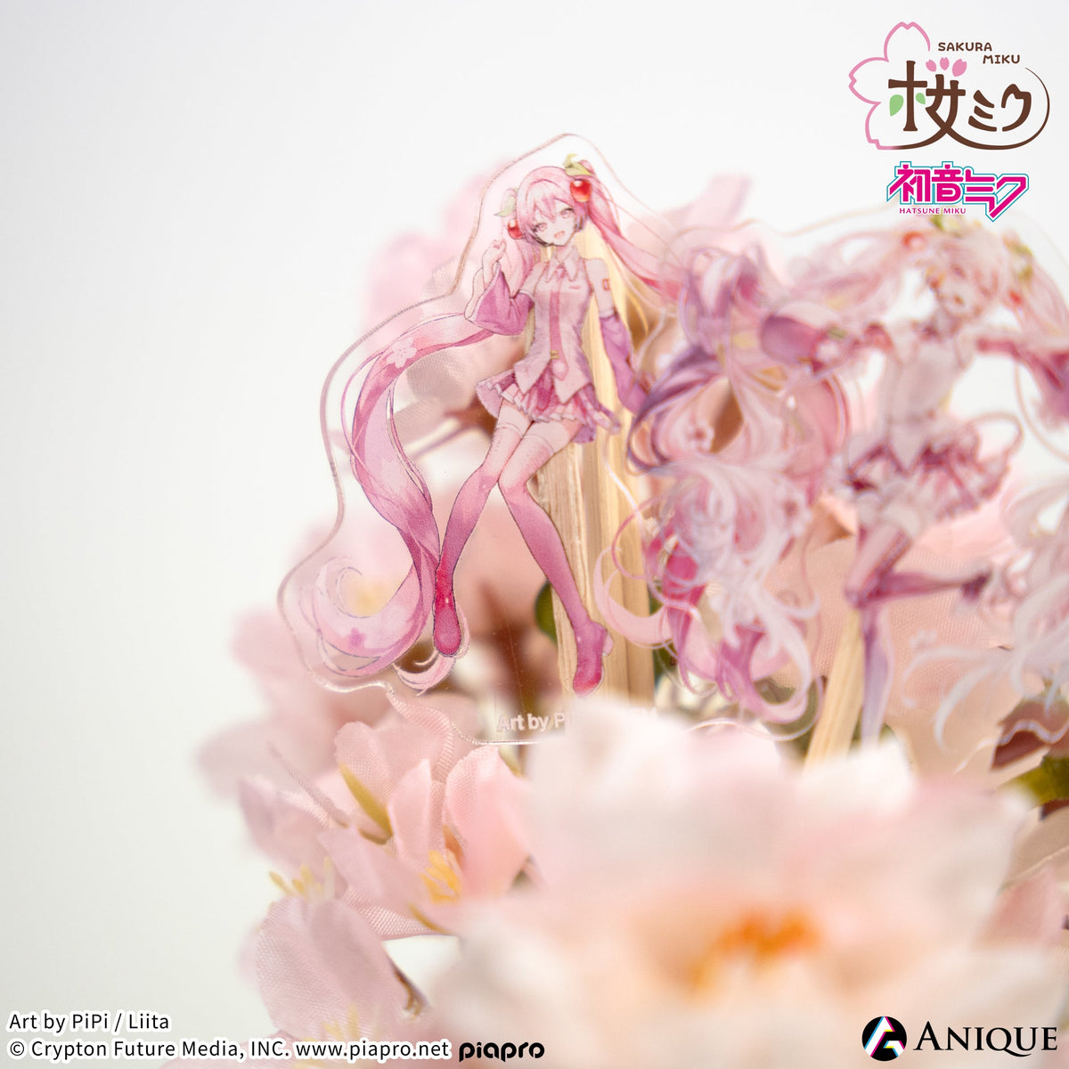 skmk_herbarium-5_4f9ae3d8-214f