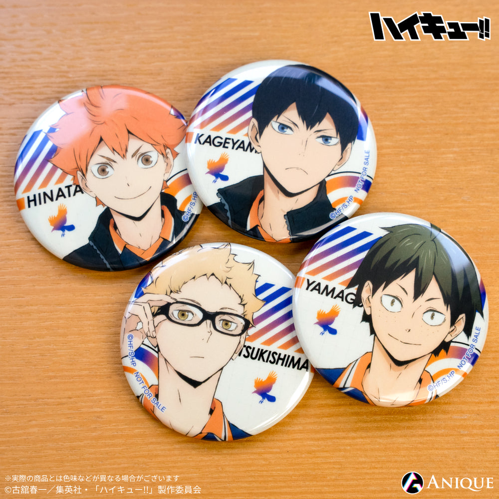 ハイキュー!! 缶バッジ 烏野高校 アニメ「ハイキュー!!」烏野高校 防災セット 【コンパクト】ver