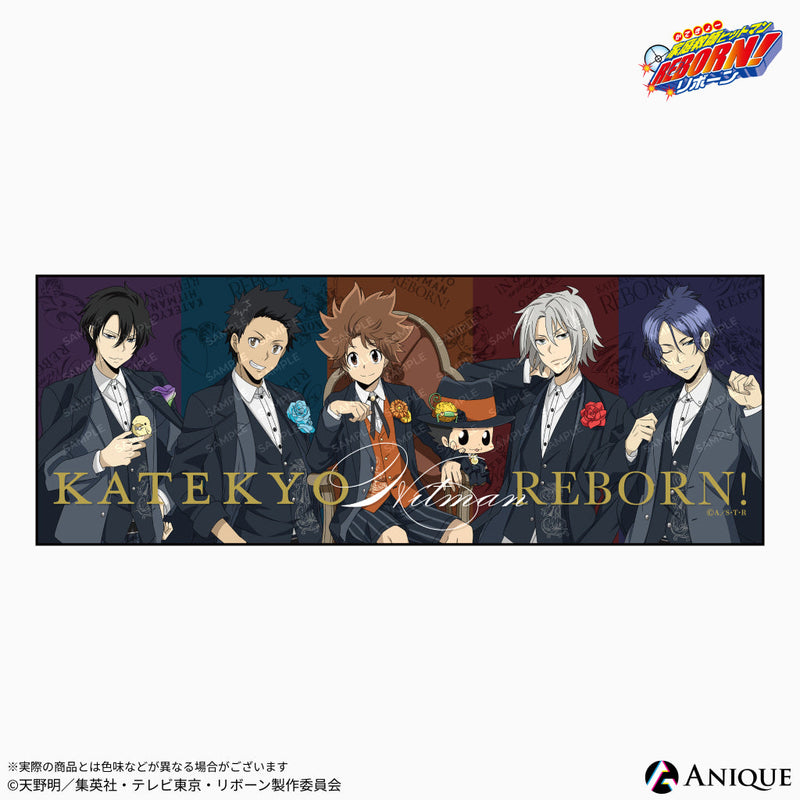『家庭教師ヒットマンREBORN!』描き下ろしイラスト【パブリックスクール】ビッグタオル