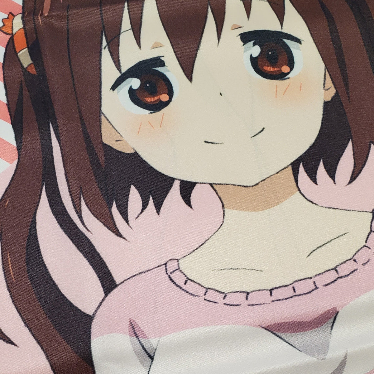 未使用:干物妹うまる「特大タペストリー」 干物妹！うまるちゃんR 描き下ろし B2タペストリー 2種