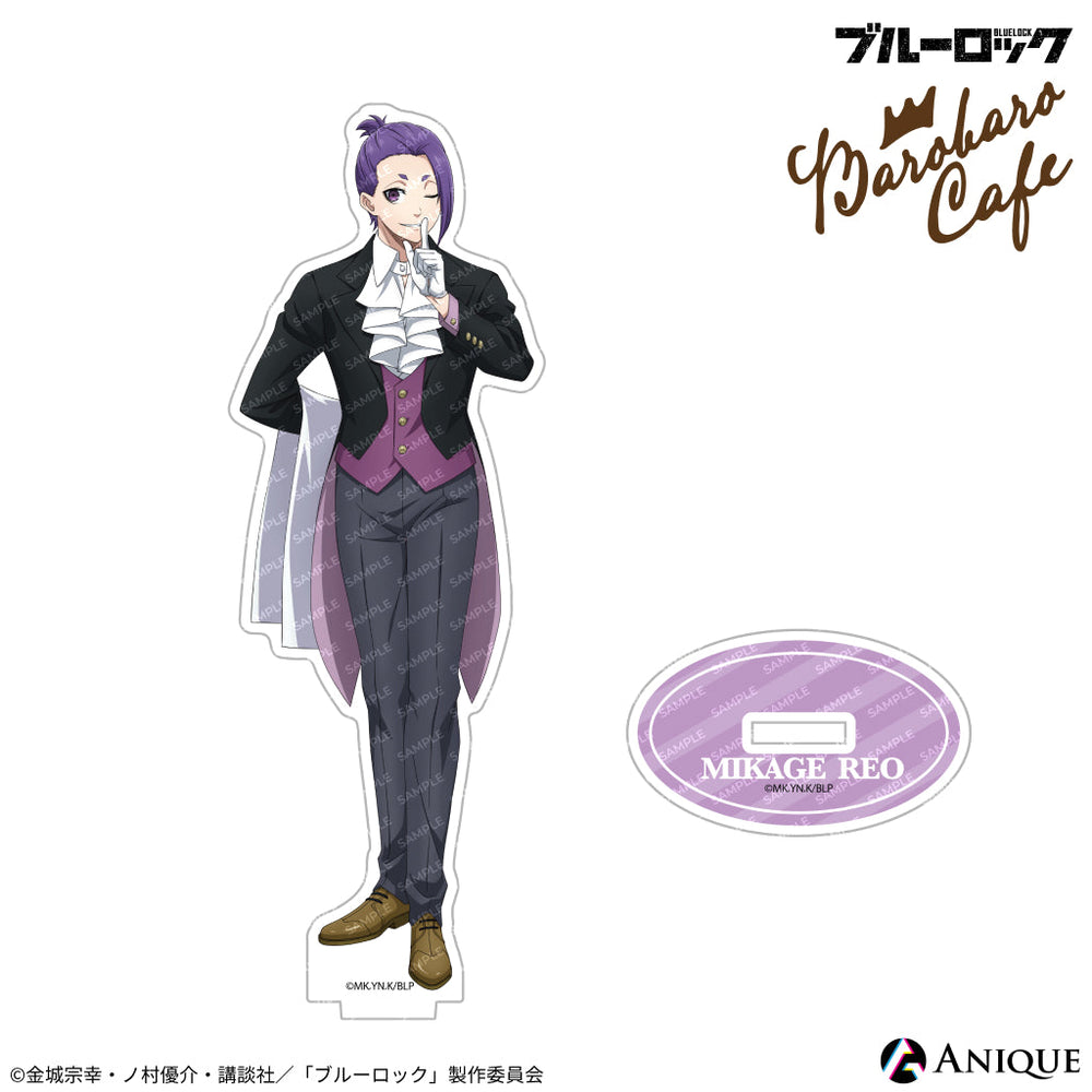 acsta_design_6_1000x.jpg?v=