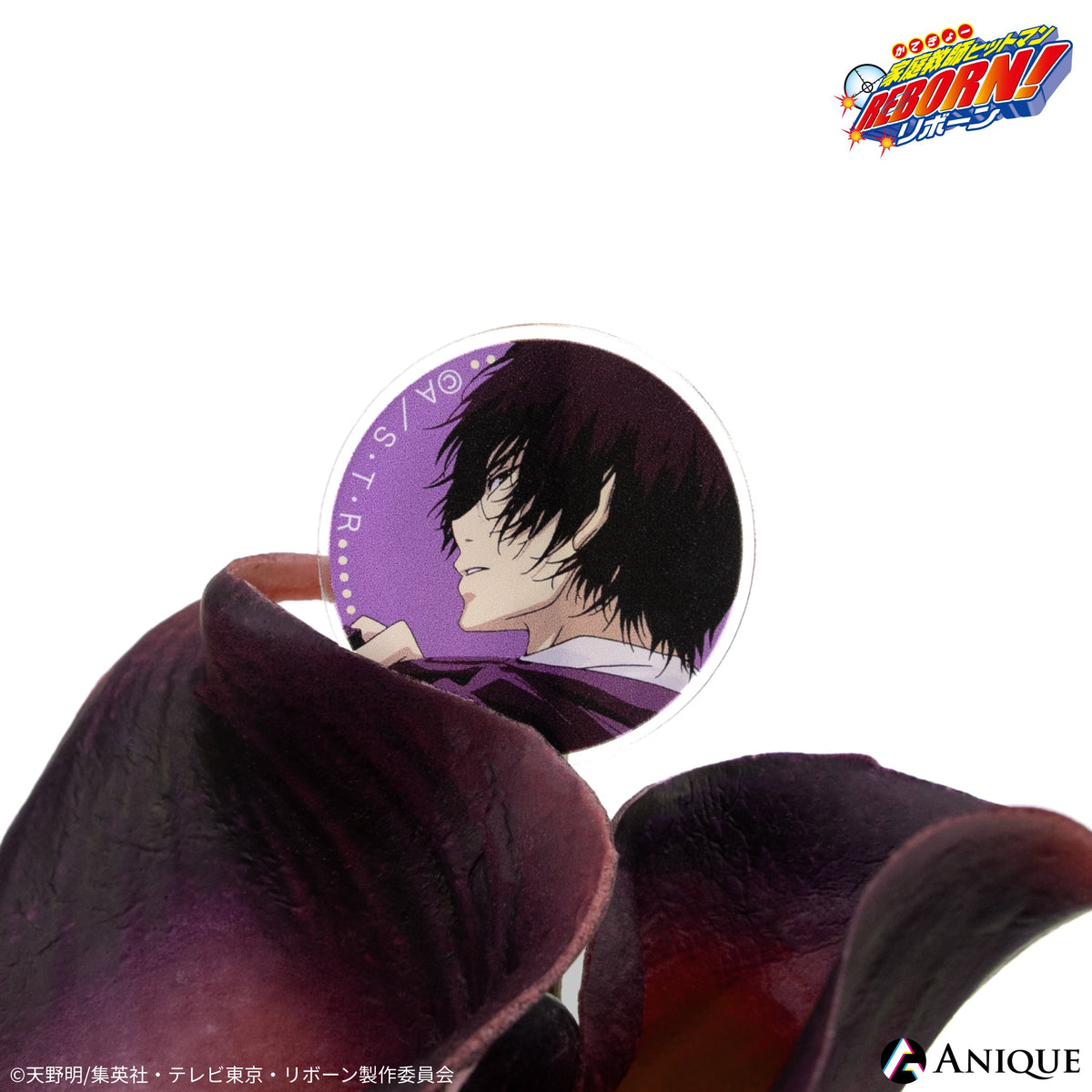 未開封　家庭教師ヒットマンREBORN! 雲雀恭弥 フラワーディフューザー Anique Shop JAPAN