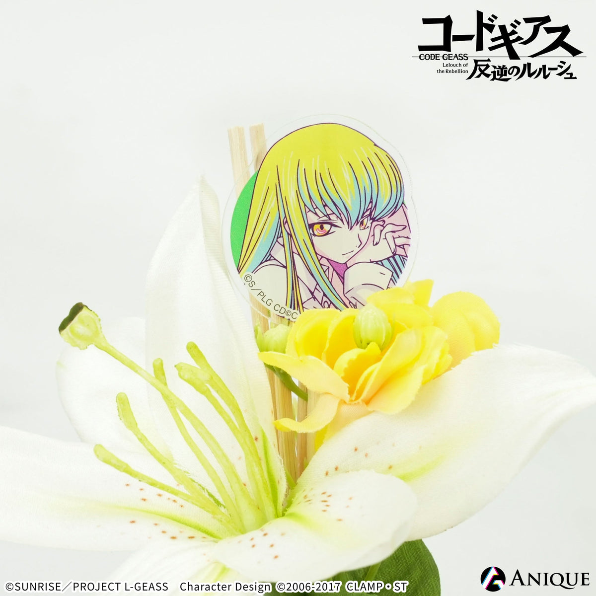 Anique Shop JAPAN