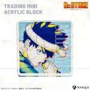 トレーディングミニアクリルブロック（全6種）