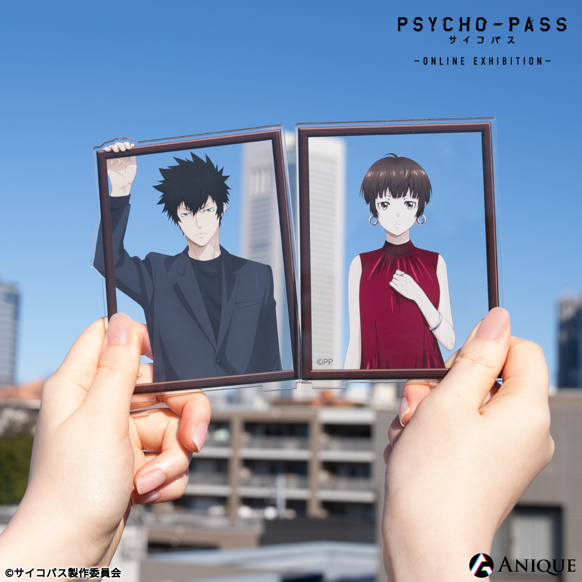 pp_acst_1-6_2b0d7e42-35d6-48fe pp_acst_1-6_2b0d7e42-35d6-48fe