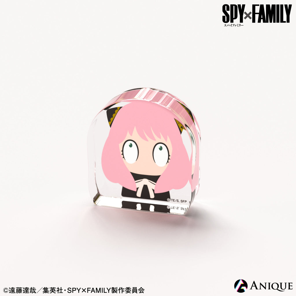 Anique Shop JAPAN